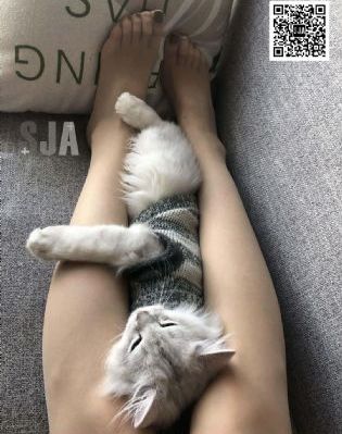 朋友家的教师老师韩国电影_BT磁力天堂在线观看高清